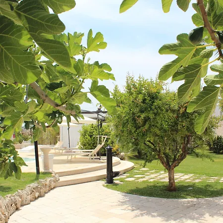 Bed and breakfast Kali Bari